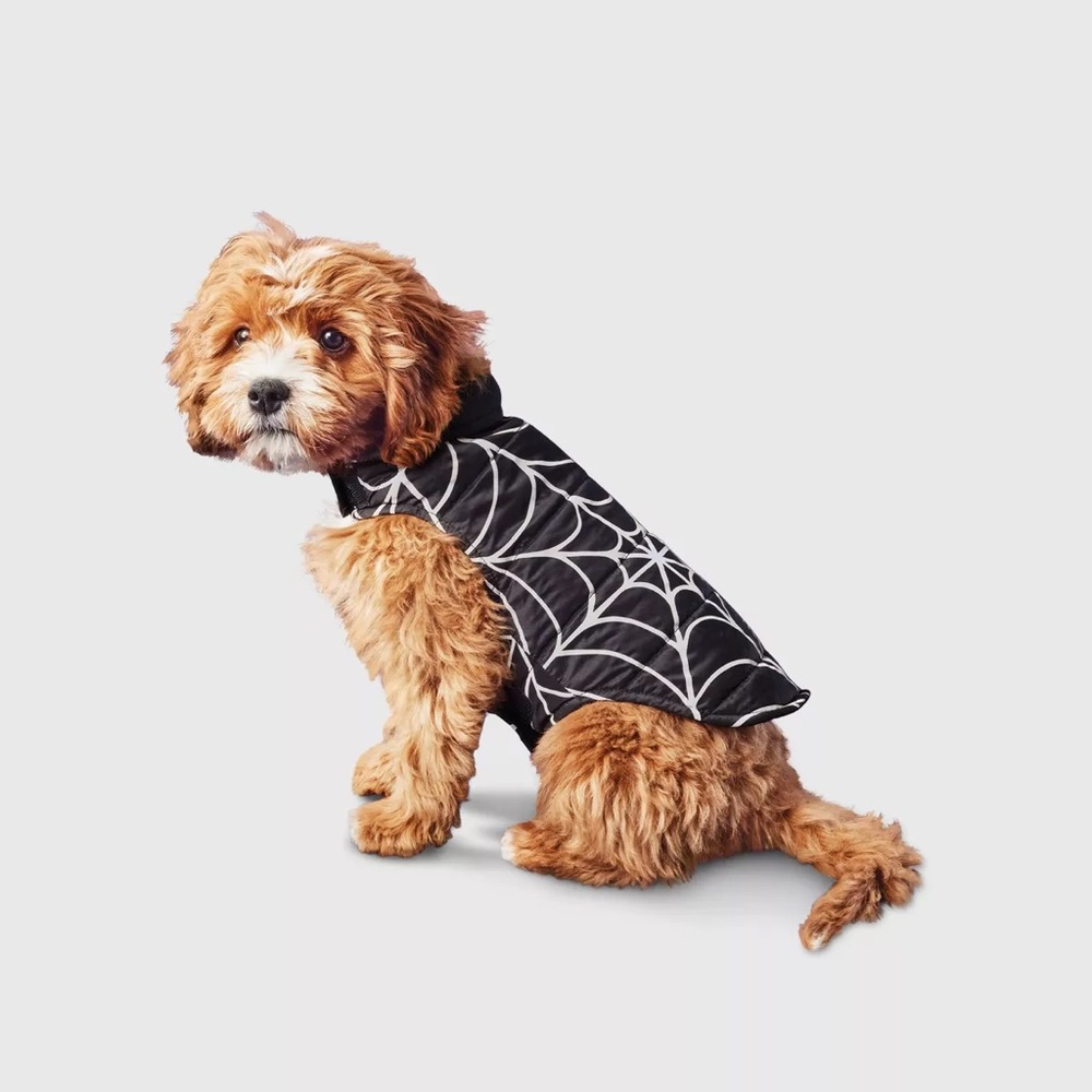 Reflective nwt Spider Web Dog Vest - Boots & Barkley Black Small